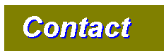 Contact the team